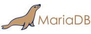 Mariadb Hosting 1 300X113