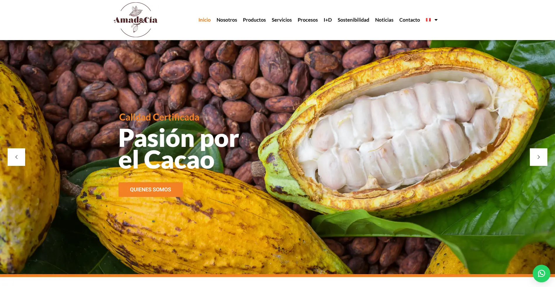 Páginas web para Exportación