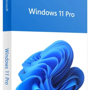 Windows 11 Professional (OEM)