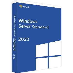 windows_server_2022_standard (FILEminimizer)